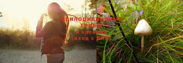эйфоретик Алзамай