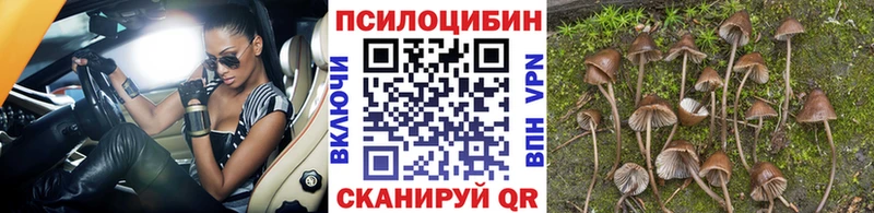 Псилоцибиновые грибы Psilocybine cubensis  дарнет шоп  omg ONION  Котельники 